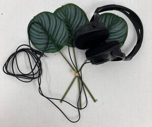 Philips Black Corded Adjustable Padded SHP2000 Audio Headphones Music Podcast